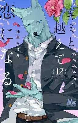 Manga Kimi to Koete Koi ni naru vol.12 (キミと越えて恋になる 12 (マーガレットコミックス))  / Yuzuki Chihiro