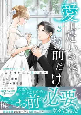 Manga Aishitai no wa, Omae dake - Tensai Gekai no Amai Sakuryaku - vol.3 (愛したいのは、お前だけ~天才外科医の甘い策略~【財閥御曹司シリーズ】 3 (ベリーズコミックス)) 