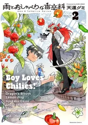 Manga Ame to Oshaberi na Koushinryou vol.2 (雨とおしゃべりな香辛料(2) (KCデラックス))  / Amaji Gumi