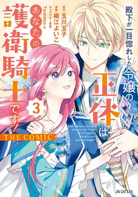 Manga Denka ga Hitomebore Shita Reijou no Shoutai wa Anata no Goei Kishi desu! vol.3 (殿下が一目惚れした令嬢の正体はあなたの護衛騎士です! THE COMIC 3)  / 玉川玉子 & Tsubasa.v & Orie Yoiko