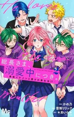 Manga Souchou-sama, Dekiaichuu ni Tsuki. vol.2 (総長さま、溺愛中につき。(2))  / Kameno