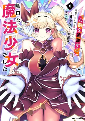 Manga "Omae wo Tsuihou suru" Tsuihousareta no wa Ore de wa Naku Mukuchi na Mahou Shoujo deshita vol.6 (「お前を追放する」追放されたのは俺ではなく無口な魔法少女でした 6)  / 福きつね & Hachio Takumi & Marusei