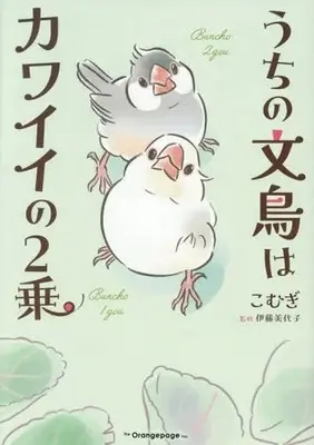 Manga Uchi no Bunchou wa Kawaii no 2-jou (うちの文鳥はカワイイの2乗)  / こむぎ