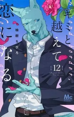 Manga Set Kimi to Koete Koi ni naru (12) (キミと越えて恋になる　コミック　新品　1-12巻セット)  / Yuzuki Chihiro
