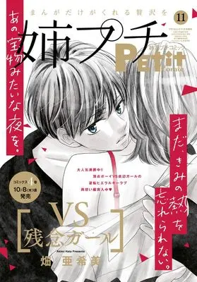 Magazine Ane kei PETIT comic (姉系プチコミック 11月号 (11月号)) 