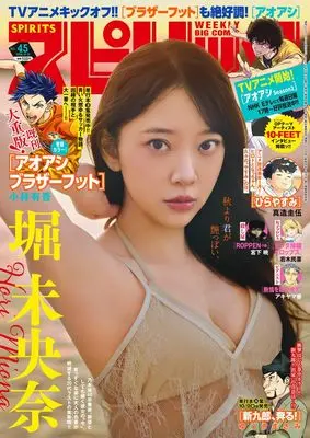 Magazine Big Comic Spirits (ビッグコミックスピリッツ (45号)) 