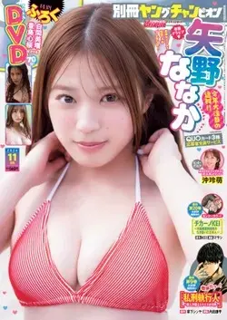 Magazine Bessatsu Young Champion (別冊ヤングチャンピオン (11/15号)) 