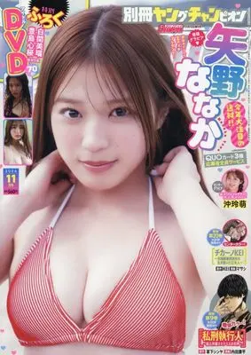 Magazine Bessatsu Young Champion (別冊ヤングチャンピオン (11/15号)) 