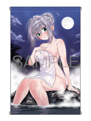 Special Edition Manga with Tapestry Seiken to Bikini Armor vol.3 (聖剣とビキニアーマー 3『描き下ろしA3タペストリー付きメロンブックス限定版』)  / 富士山まる