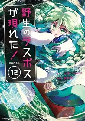 Manga Yasei no Last Boss ga Arawareta!: Kokuyoku no Haou vol.12 (野生のラスボスが現れた!黒翼の覇王(12))  / Haduki Tubasa