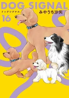 Manga Set DOG SIGNAL (16) (ドッグシグナル DOG SIGNAL　コミック　1-16巻セット)  / Miyauchi Saya
