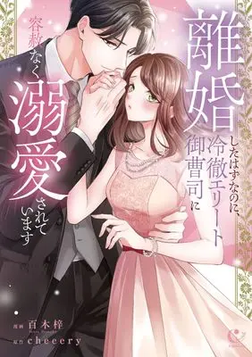Manga Rikon Shita Hazu na no ni, Reitetsu Elite Onzoushi ni Youshanaku Dekiai Sarete Imasu (離婚したはずなのに、冷徹エリート御曹司に容赦なく溺愛されています (チェリッシュコミックス))  / Cherish & 百木梓
