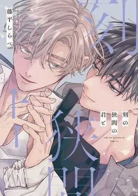 Manga Toki no Hazama no Kimi to (刻の狭間の君と (ディアプラス・コミックス))  / 藤平 しらべ