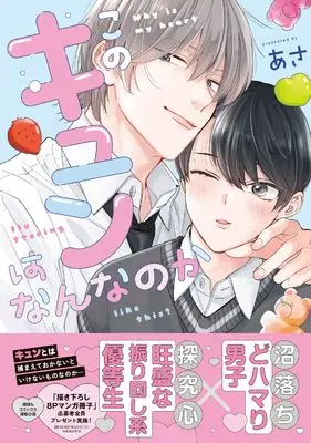 Manga Kono Kyun wa Nan na no ka (このキュンはなんなのか (drapコミックスDX))  / Asa