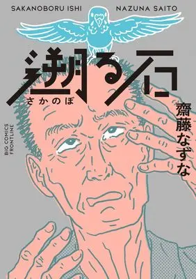 Manga Saitou Nazuna Tanshushuu (齋藤なずな短編集(仮): ビッグ コミックス〔スペシャル〕)  / Saitou Nazuna