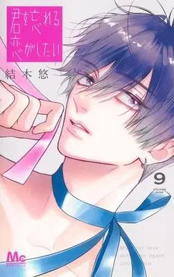 Manga Set Kimi wo Wasurareru Koi ga Shitai (9) (君を忘れる恋がしたい　コミック　1-9巻セット)  / Yuuki Haru