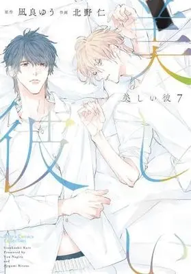 Manga Set Utsukushii Kare (My Beautiful Man) (7) (美しい彼　コミック　1-7巻セット)  / Nagira Yuu & Kitano Megumi